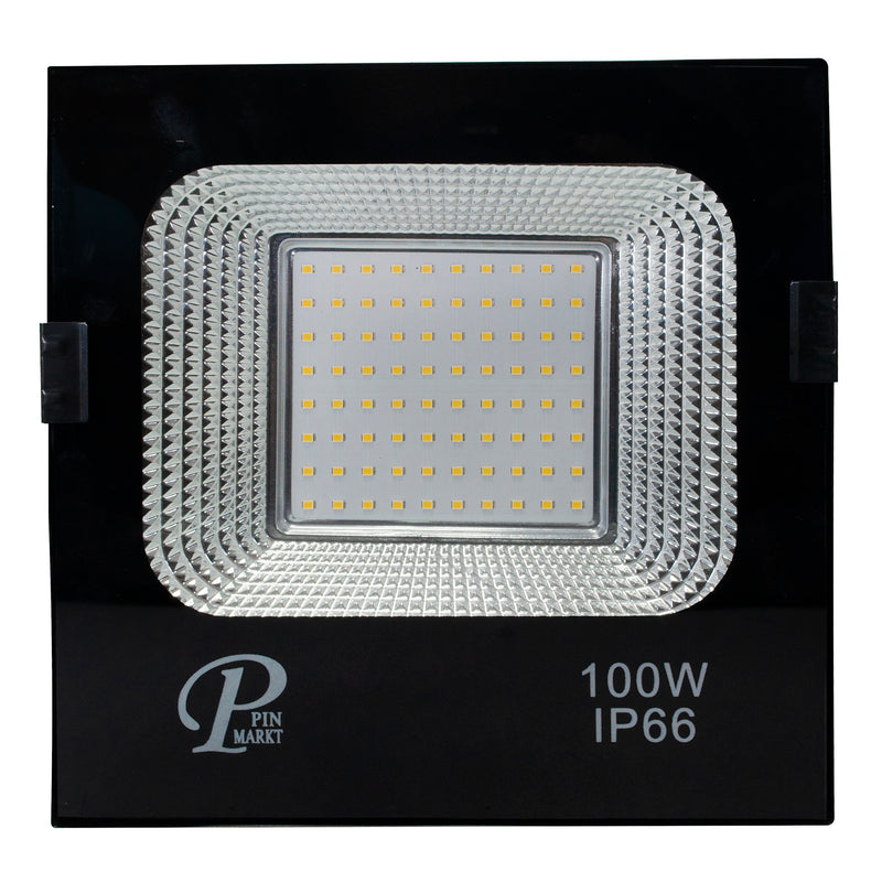 REFLECTOR PINMARKT 100W ECONOMICO