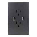 Placa Lucek Flat 2 contactos 2 USB plata - La nueva eléctrica