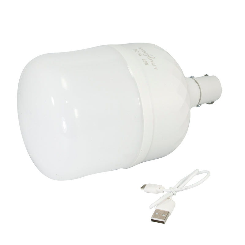 Foco Wanergy led bulbo omnidireccional 80w recargable