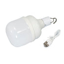 Foco Wanergy LED bulbo omnidireccional 30W recargable - La nueva eléctrica