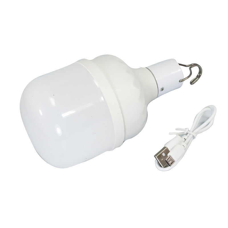 Foco Wanergy led bulbo omnidireccional 30w recargable